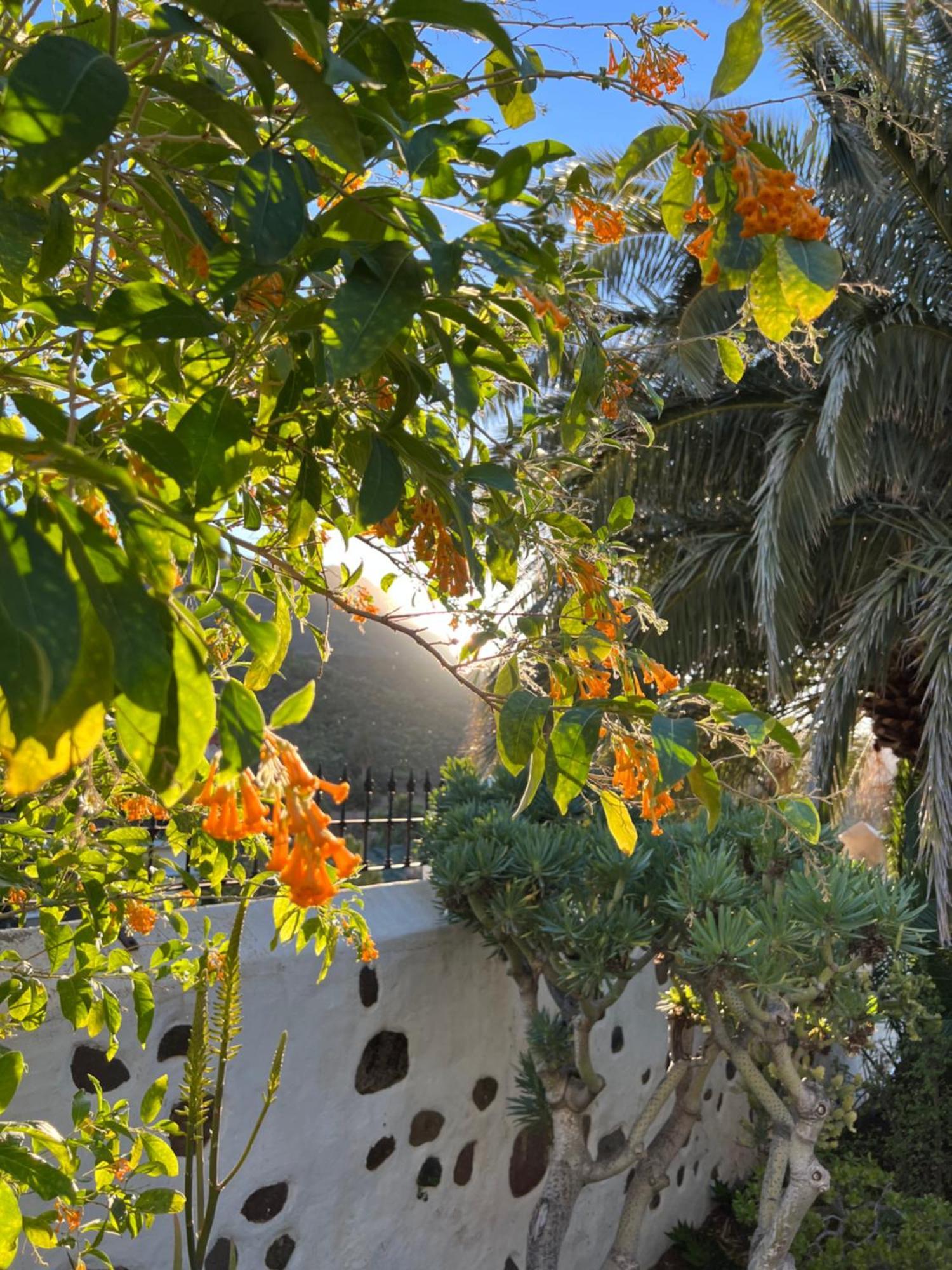 Finca Exclusiv La Mareta Agaete  Bagian luar foto
