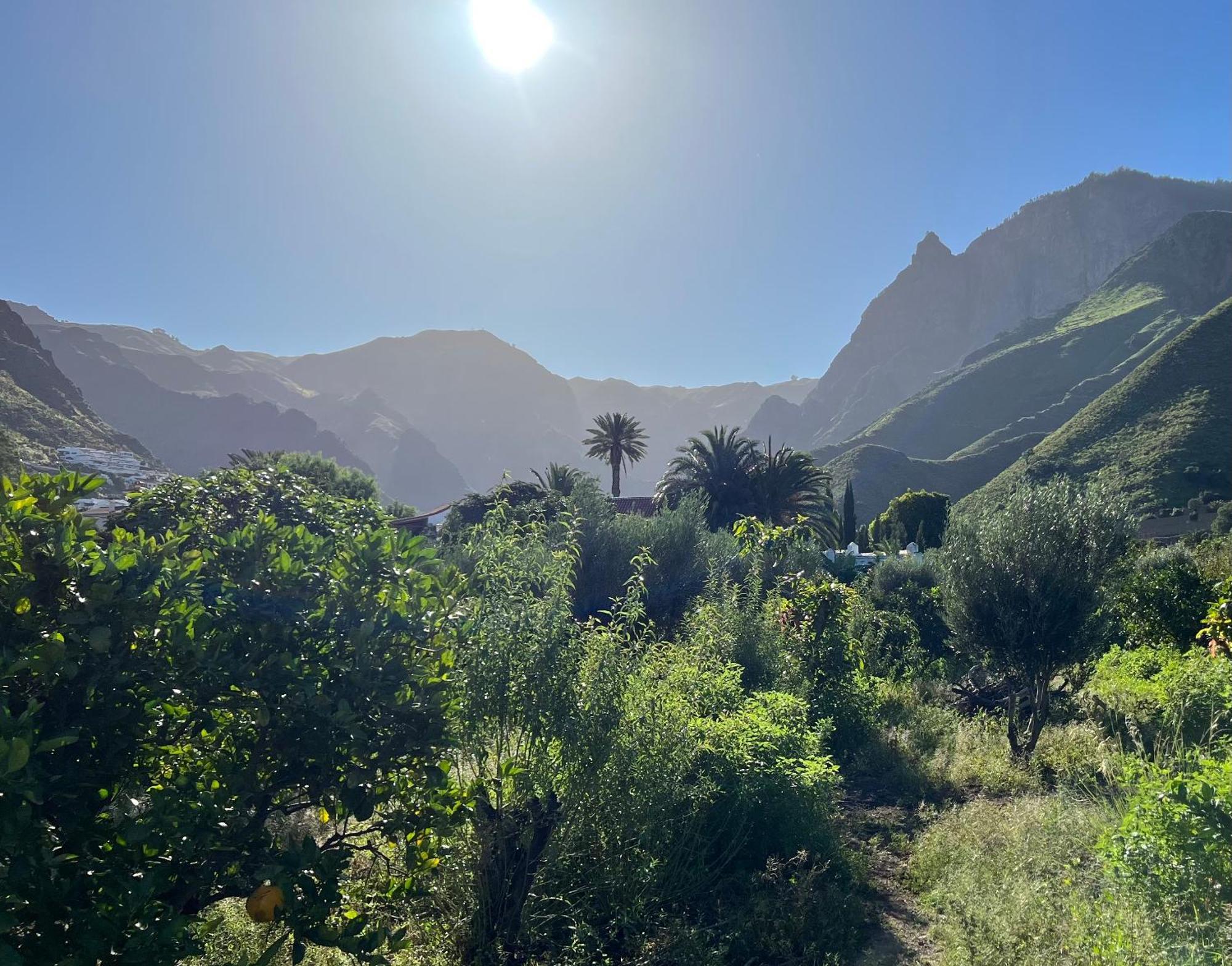 Finca Exclusiv La Mareta Agaete  Bagian luar foto